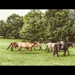 🦋 MORE INFO!!! 🦋